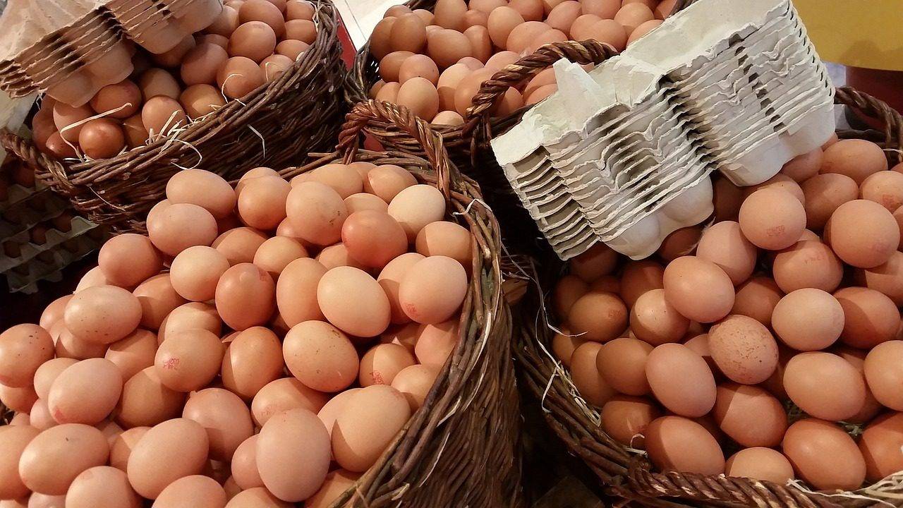 Eggs