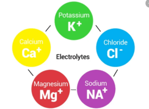 electrolytes